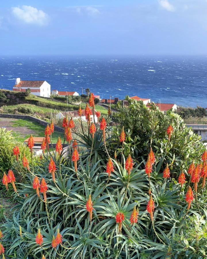 Vivenda Joaquim Villa Lajes das Flores Exteriör bild